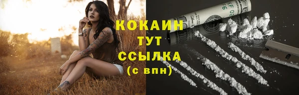 apvp Няндома