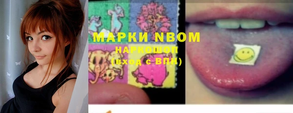 apvp Няндома