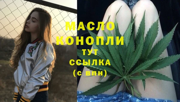 apvp Няндома