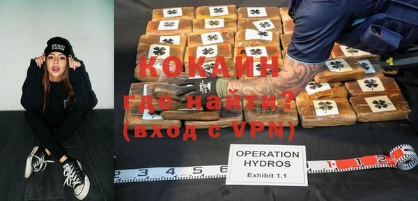 apvp Няндома