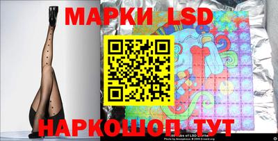 стаф Берёзовский