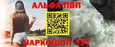 стаф Берёзовский