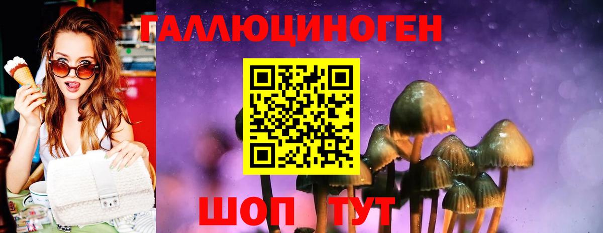 Галлюциногенные грибы GOLDEN TEACHER Барабинск