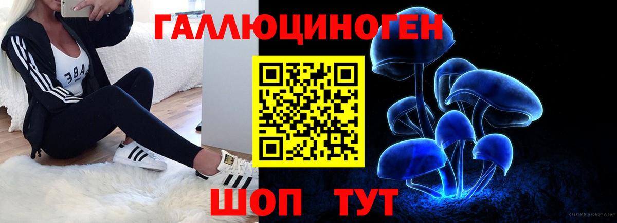 Псилоцибиновые грибы Psilocybe  хочу наркоту  Барабинск  Галлюциногенные грибы GOLDEN TEACHER 