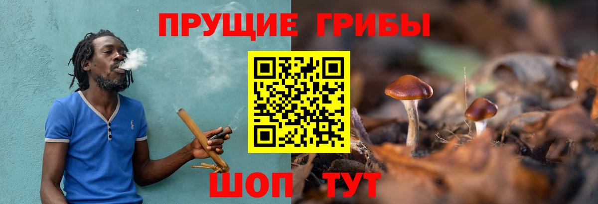 Барабинск  Галлюциногенные грибы мицелий  Вход с VPN 